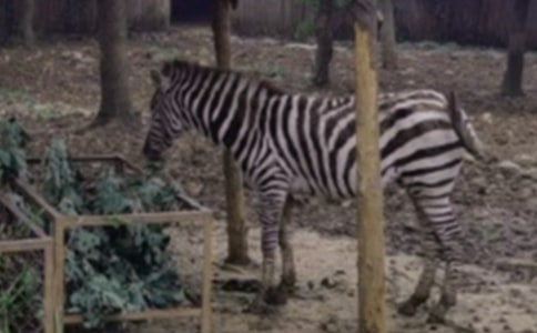 ��������������6ƪ