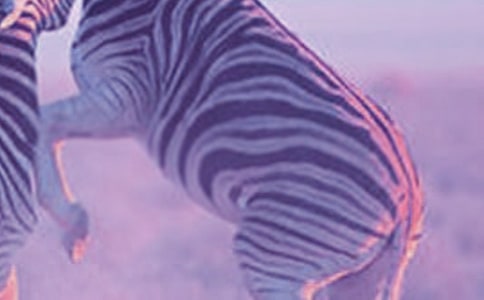 �������������ģ�ͨ��39ƪ��