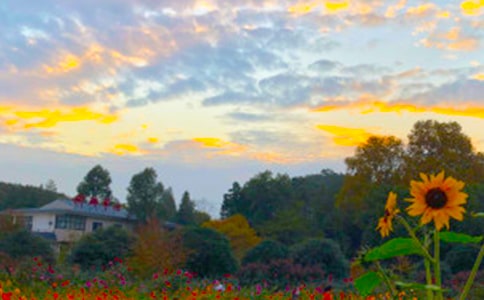 ���ڰ�������600�־�ƪ