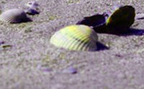 �׶����Ի���������̵ı��ǡ��Ľ�ѧ��˼