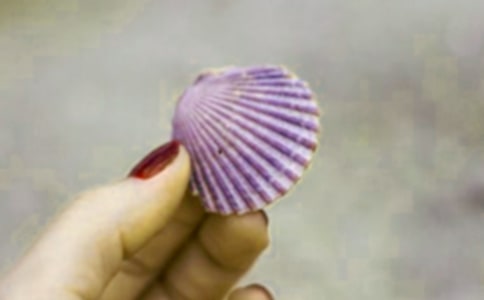 ʰ��������(�ϼ�15ƪ)