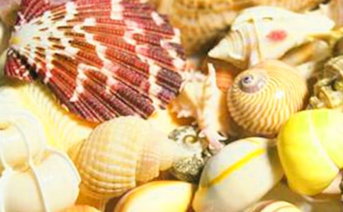 《拾贝壳》课程教学反思