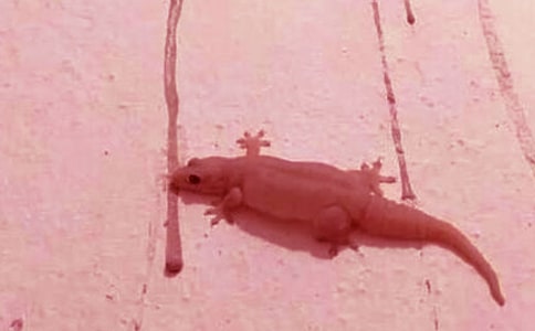 С�ڻ���β��˵�θ�12ƪ