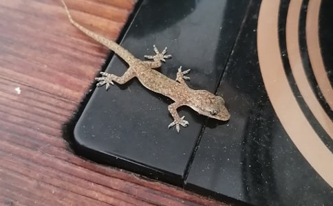 ��С�ڻ���β�͡���һ��ʱ��ѧ���