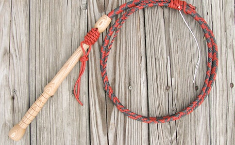 一生的鞭子的五年级作文400字