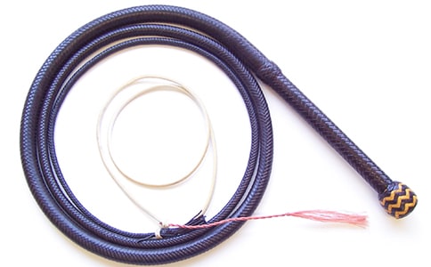 大鞭子美文摘抄