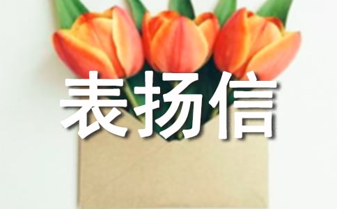 企业致供应商的表扬信