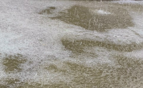 ����������Ӧ��Ԥ�����ģ���ѡ12ƪ��