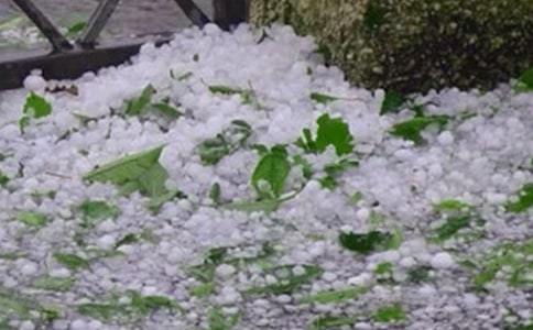 Ԥ����������Ӧ��Ԥ��ģ��