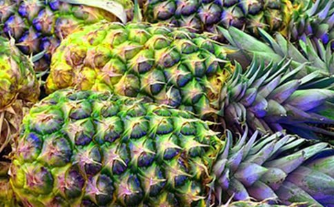 菠萝作文600字三篇