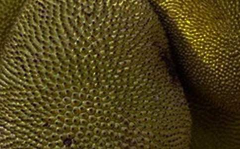 �������������ۡ���ϰ����