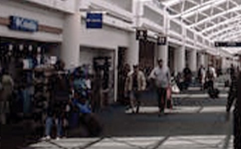 一次精彩纷呈的博览会小学组记叙文