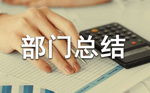 ˫ʮһ֮�����ܽ᷶��