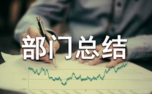 ʵ�������ܽᱨ��