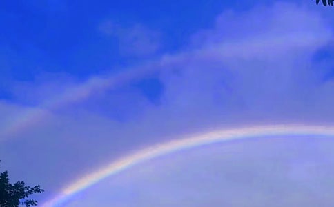 �������Ĳʺ硷��ѧ���