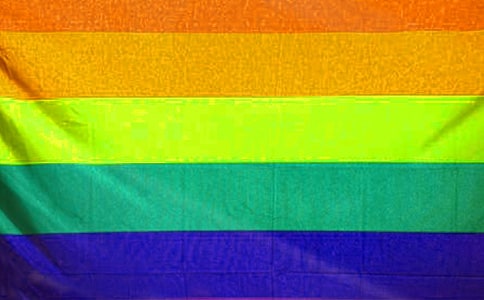 彩旗又飘起来了小学五年级作文