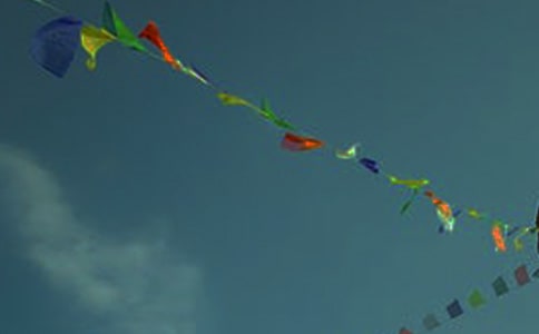 ����Ʈ����������꼶����