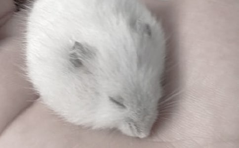 ��ѡ��������400��3ƪ