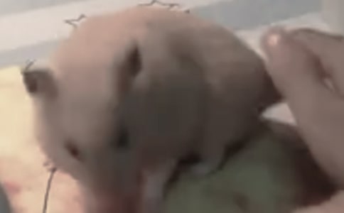 �����������������500��3ƪ