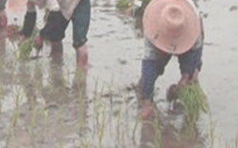 �����еĲ�������2ƪ