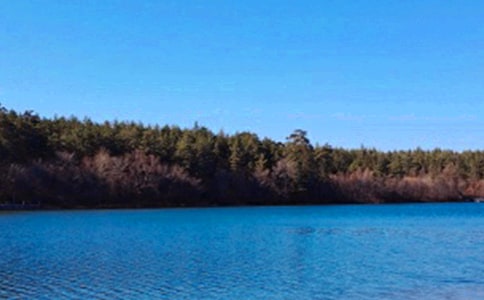 我的长白山之旅作文300字