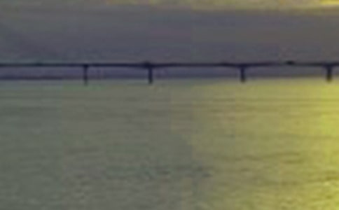 美味的长江三鲜中班美术教案(精选6篇)