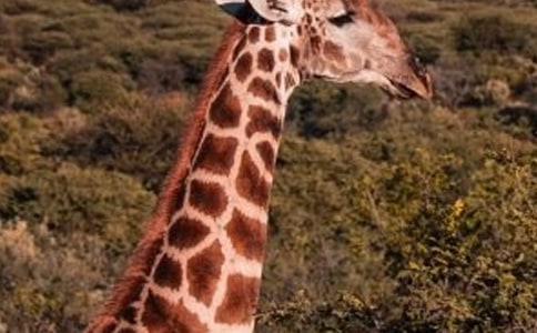 �а����������¹�̰�