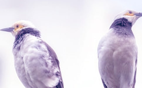 ���ܽ�ѧ��Ʒ���