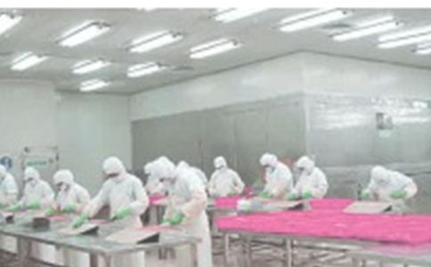 ������������ƶȱر���15ƪ��