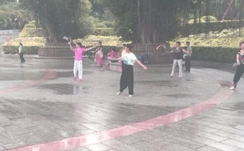 精选晨练作文300字3篇