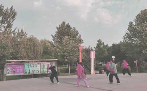 晨练见闻高二记叙文