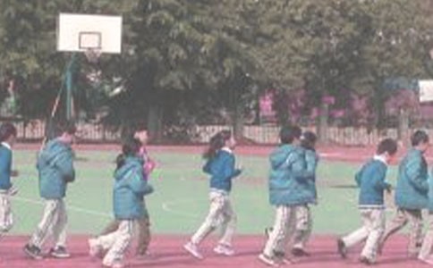 晨跑作文300字合集10篇