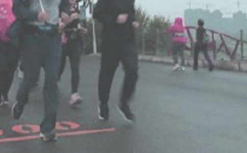 ���ܳٵ������飨ͨ��19ƪ��