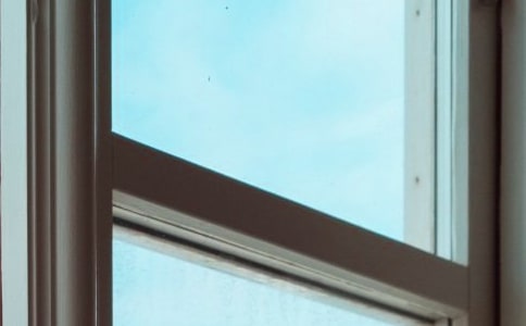 狐狸的窗户作文(2篇)