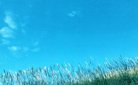 ���ġ����紵���������ѧ���