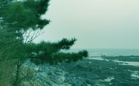 ���紵�Ľ�ѧ���