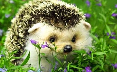 ����⬵���ȱ�㡷��ѧ��˼