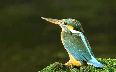 �����񡷵ڶ���ʱ�Ľ�ѧ��˼����