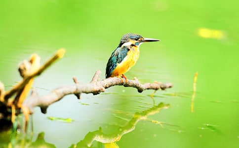 ���꼶�²��5�δ����ѧ��ƣ���ѡ10ƪ��