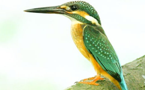 �˽̰桶���񡷵ڶ���ʱ��ѧ���