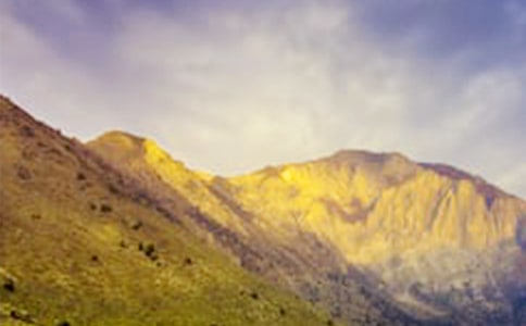 �����Ĵ�ɽ���꼶��������