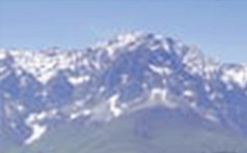 大山里的淘宝村初二作文