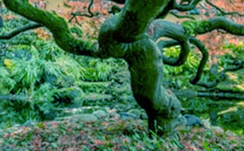 ���꼶��ѧ��ơ�С�ݺʹ�����