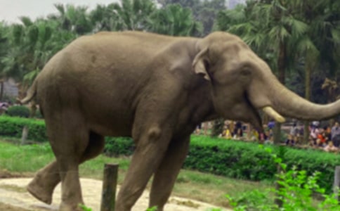 ������Ķ��䡷��ѧ��Ʒ��ģ�ͨ��7ƪ��