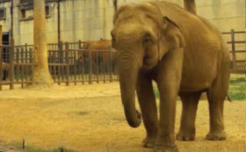 �й�һ�꼶�����ѧ��˼��ͨ��10ƪ��