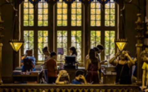 ��ѧ����ʳ��ҵ�ƻ���