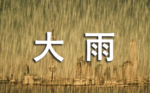 大雨作文600字5篇