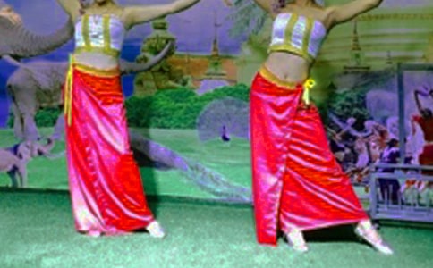 ������������8ƪ