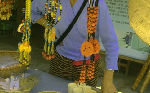 关于傣族作文1000字