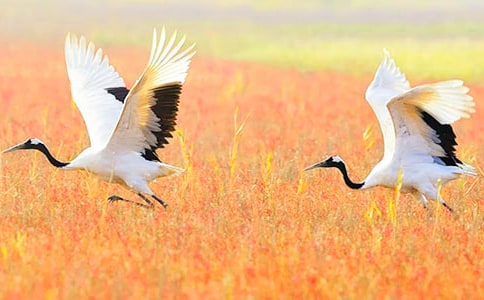 ��д�����׵�����